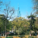 和平公园 - 南京市旅游 缩略图 1