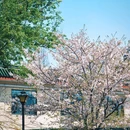 和平公园 - 南京市旅游 缩略图 2