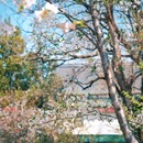 和平公园 - 南京市旅游 缩略图 8