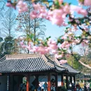 和平公园 - 南京市旅游 缩略图 7