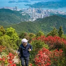 深圳市梧桐山风景名胜区 - 深圳市旅游 缩略图 1