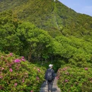 深圳市梧桐山风景名胜区 - 深圳市旅游 缩略图 6
