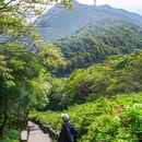 深圳市梧桐山风景名胜区 - 深圳市旅游 缩略图 7