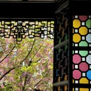 狮子林景区 - 苏州旅游 缩略图 8