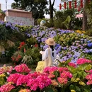漫花庄园 - 成都旅游 缩略图 1