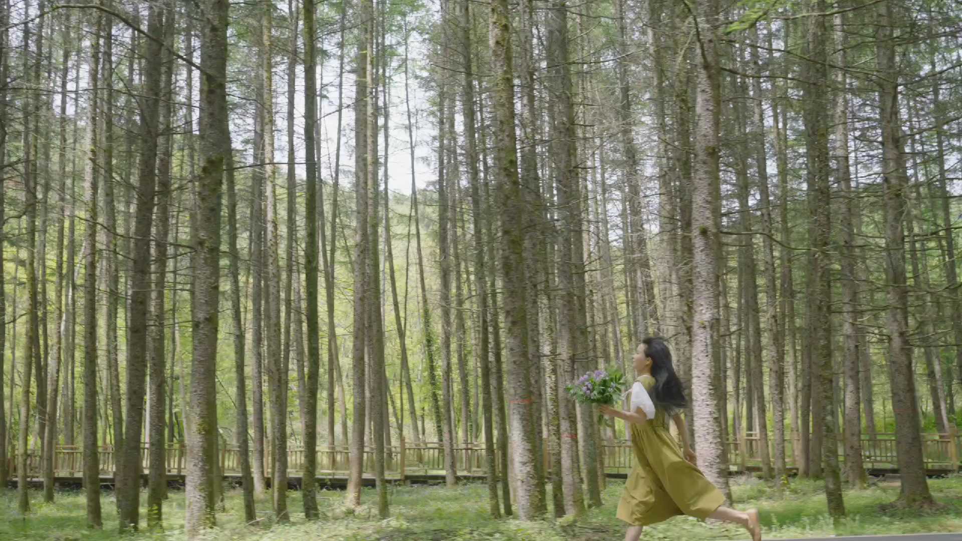 光雾山旅游景区 - 巴中市旅游
