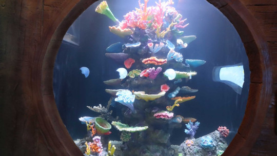 湖北交投海昌海洋探索馆门票