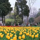 兴庆宫公园 - 西安市旅游 缩略图 5