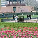 兴庆宫公园 - 西安市旅游 缩略图 6
