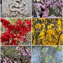 北京新云南皇冠假日酒店 - 北京旅游 缩略图 7