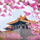 上海环球港 - 上海市旅游 缩略图 3
