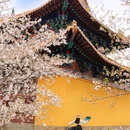 上海环球港 - 上海市旅游 缩略图 5