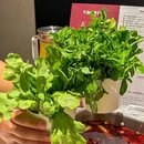潮黄记·潮汕鲜牛肉火锅(北苑店) - 北京市旅游 缩略图 6
