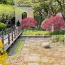 杭州西湖风景名胜区-中山公园 - 杭州市旅游 缩略图 8