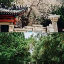 大明湖风景名胜区 - 济南市旅游 缩略图 4