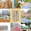 东湖听涛景区 - 武汉市旅游 缩略图 1