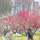 东湖听涛景区 - 武汉市旅游 缩略图 5