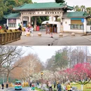 东湖听涛景区 - 武汉市旅游 缩略图 8