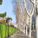武汉博物馆 - 武汉市旅游 缩略图 4
