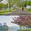 独一鲜饭庄 - 无锡旅游 缩略图 3