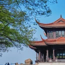 独一鲜饭庄 - 无锡旅游 缩略图 6