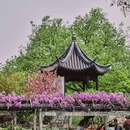 江苏学政文化旅游区-中山公园 - 无锡市旅游 缩略图 3