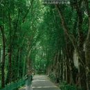华南植物园-北门售票处 - 广州市旅游 缩略图 2