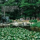 华南植物园-北门售票处 - 广州市旅游 缩略图 4