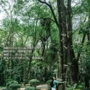 华南植物园-北门售票处 - 广州市旅游 缩略图 5