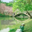 华南植物园-北门售票处 - 广州市旅游 缩略图 3