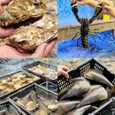 米煮鲜·毋米粥海鲜火锅·商务宴请(宝安中心店) - 深圳市旅游 缩略图 9