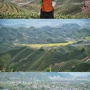 拔山村村委会 - 杭州市旅游 缩略图 5