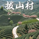 拔山村村委会 - 杭州市旅游 缩略图 1