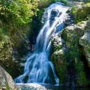 徽开古道 - 黄山市旅游 缩略图 6