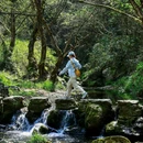 徽开古道 - 黄山市旅游 缩略图 5