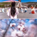 曲阜尼山圣境 - 济宁市旅游 缩略图 2