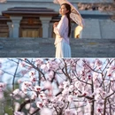 曲阜尼山圣境 - 济宁市旅游 缩略图 6
