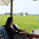 越南广南省Hội An - 其他旅游 缩略图 5