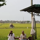 越南广南省Hội An - 其他旅游 缩略图 3