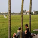 越南广南省Hội An - 其他旅游 缩略图 2