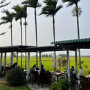 越南广南省Hội An - 其他旅游 缩略图 9