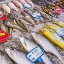 遇见潮粥大排档·潮汕菜(车公庙店) - 深圳市旅游 缩略图 9