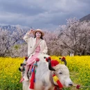 嘎拉桃花园 - 林芝市旅游 缩略图 1