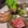 绍兴市·西塔老太太泥炉烤肉(绍兴金帝银泰城店)