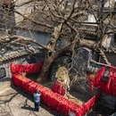 凤城河风景区 - 泰州市旅游 缩略图 9