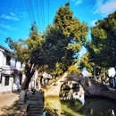 青浦博物馆 - 上海市旅游 缩略图 4