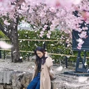 日本山梨县山中湖村 - 山中湖村旅游 缩略图 8