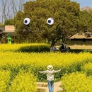 乌镇古镇旅游区 - 嘉兴市旅游 缩略图 5