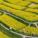 乌镇古镇旅游区 - 嘉兴市旅游 缩略图 8