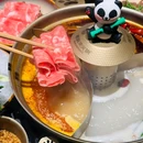 熊猫烫火锅.熊猫主题(深业上城店) - 深圳市旅游 缩略图 5